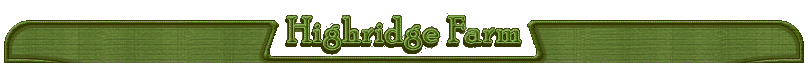 Highridge Farm :: registered Polled Hereford Breeder